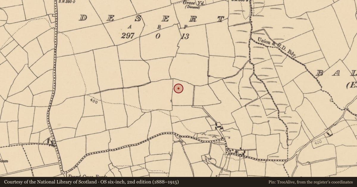 Ordnance Survey six-inch map, 2nd edition (1888–1915) covering the location of Standing stone, Desert, County Cork, with a pin at the register's coordinates