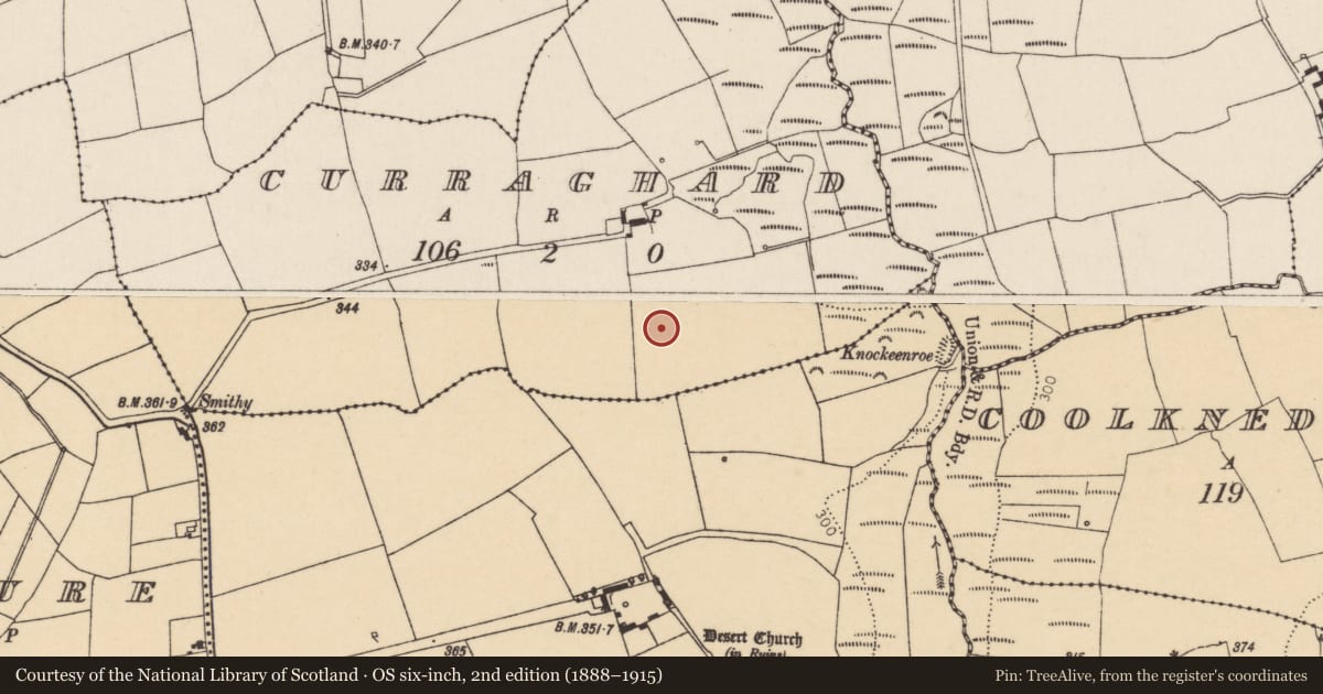Ordnance Survey six-inch map, 2nd edition (1888–1915) covering the location of Standing stone, Curraghard, County Cork, with a pin at the register's coordinates