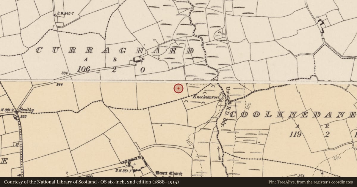 Ordnance Survey six-inch map, 2nd edition (1888–1915) covering the location of Fulacht fia, Curraghard, County Cork, with a pin at the register's coordinates