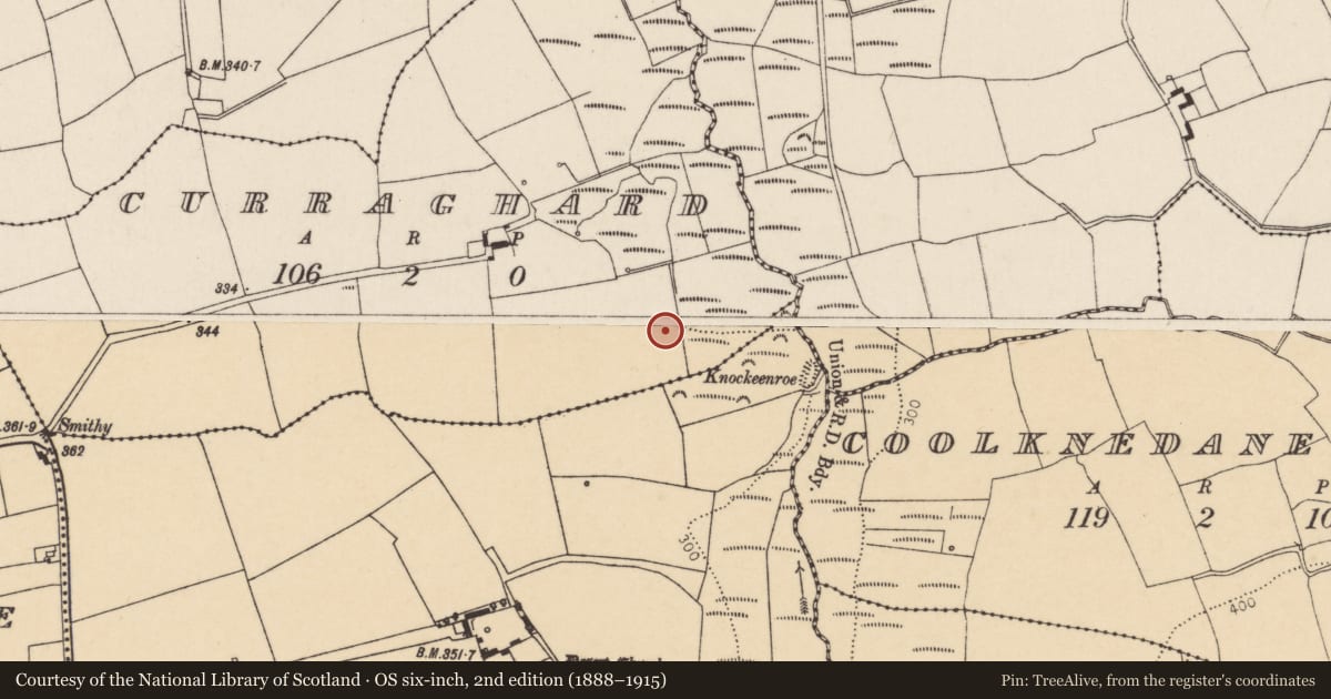 Ordnance Survey six-inch map, 2nd edition (1888–1915) covering the location of Fulacht fia, Curraghard, County Cork, with a pin at the register's coordinates