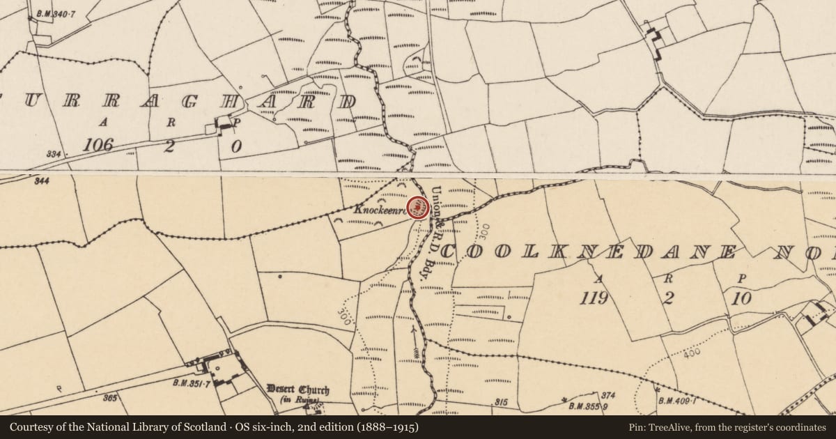 Ordnance Survey six-inch map, 2nd edition (1888–1915) covering the location of Enclosure, Desert, County Cork, with a pin at the register's coordinates