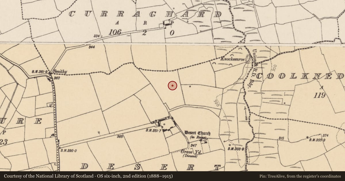 Ordnance Survey six-inch map, 2nd edition (1888–1915) covering the location of Fulacht fia, Desert, County Cork, with a pin at the register's coordinates