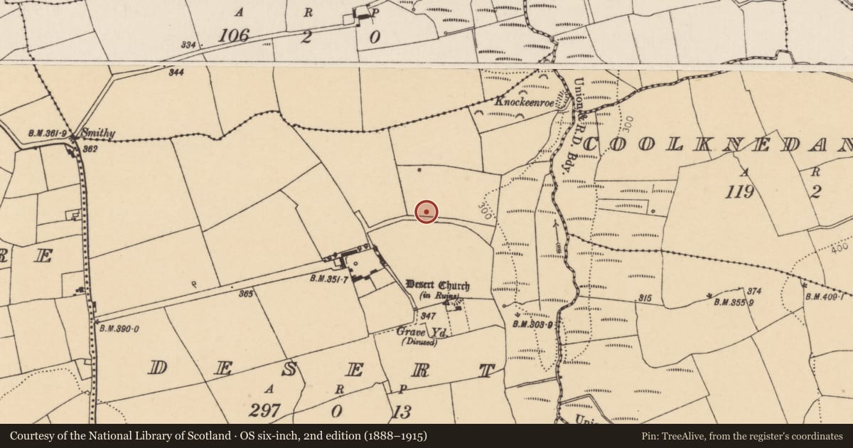 Ordnance Survey six-inch map, 2nd edition (1888–1915) covering the location of Fulacht fia, Desert, County Cork, with a pin at the register's coordinates