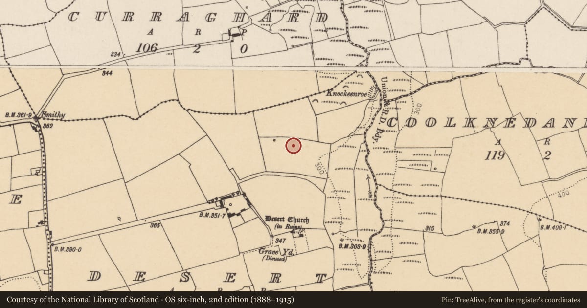 Ordnance Survey six-inch map, 2nd edition (1888–1915) covering the location of Fulacht fia, Desert, County Cork, with a pin at the register's coordinates