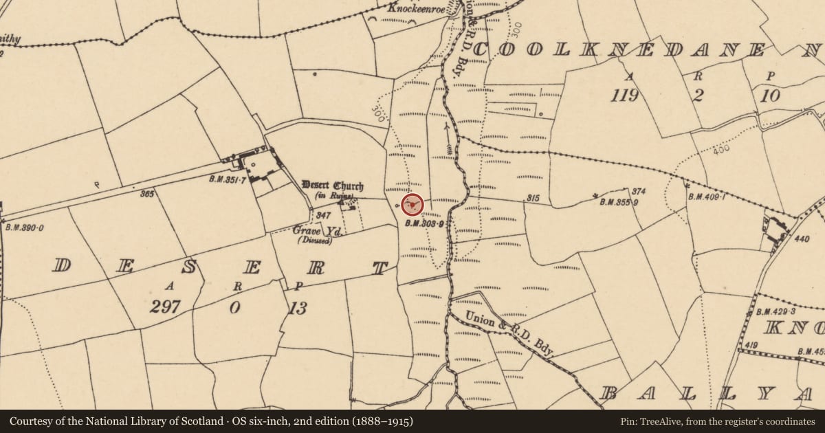 Ordnance Survey six-inch map, 2nd edition (1888–1915) covering the location of Water mill - horizontal-wheeled, Desert, County Cork, with a pin at the register's coordinates