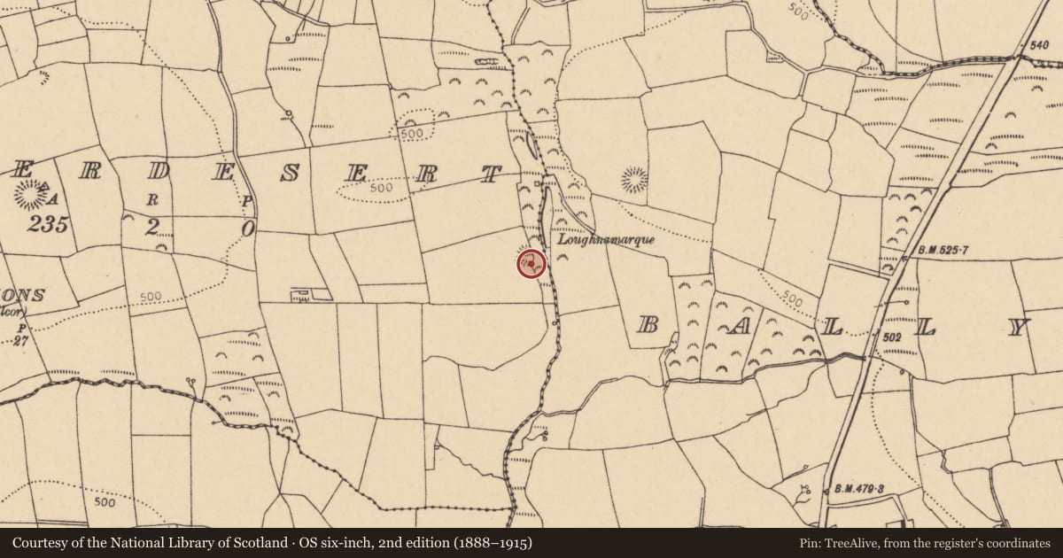 Ordnance Survey six-inch map, 2nd edition (1888–1915) covering the location of Ringfort - rath, Caherdesert, County Cork, with a pin at the register's coordinates