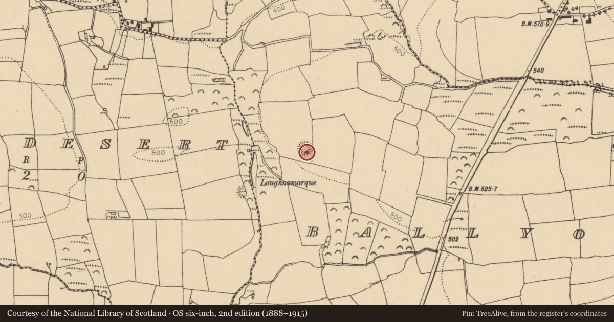 Ordnance Survey six-inch map, 2nd edition (1888–1915) covering the location of Ringfort - rath, Ballyogaha West, County Cork, with a pin at the register's coordinates