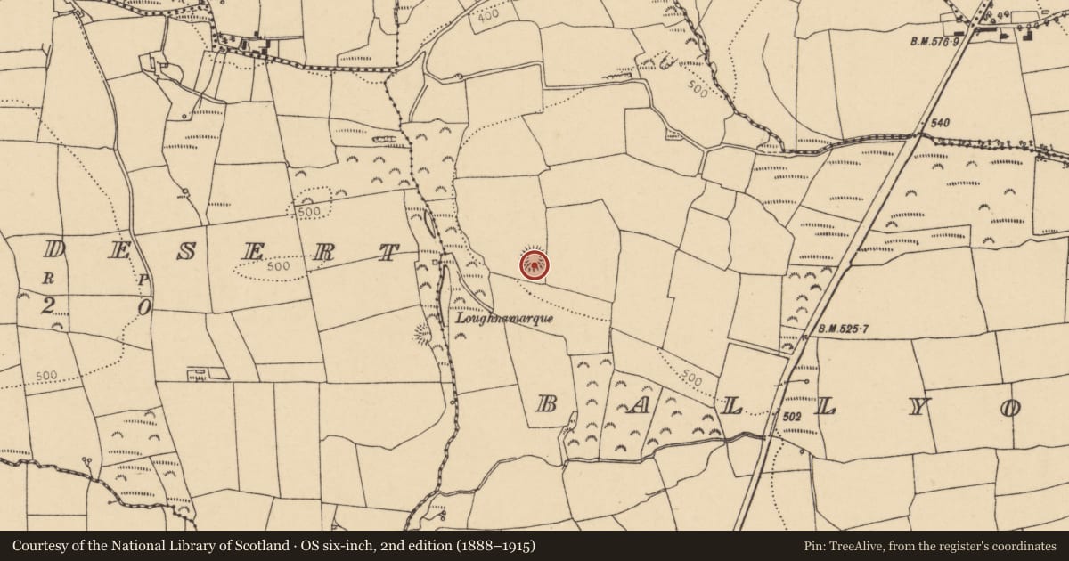 Ordnance Survey six-inch map, 2nd edition (1888–1915) covering the location of Souterrain, Ballyogaha West, County Cork, with a pin at the register's coordinates