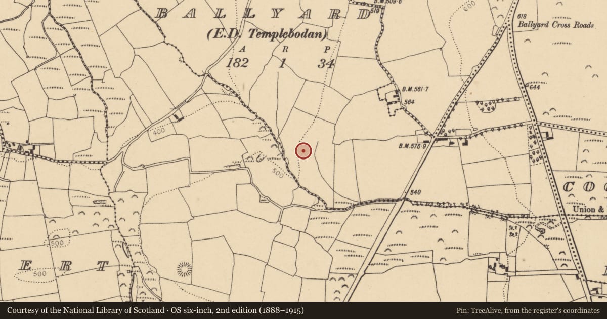 Ordnance Survey six-inch map, 2nd edition (1888–1915) covering the location of Enclosure, Ballyard (Barrymore By., Britway Par.), County Cork, with a pin at the register's coordinates