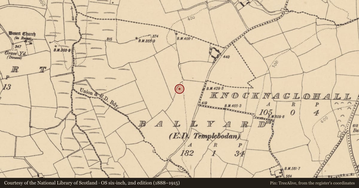 Ordnance Survey six-inch map, 2nd edition (1888–1915) covering the location of Enclosure, Ballyard (Barrymore By., Britway Par.), County Cork, with a pin at the register's coordinates