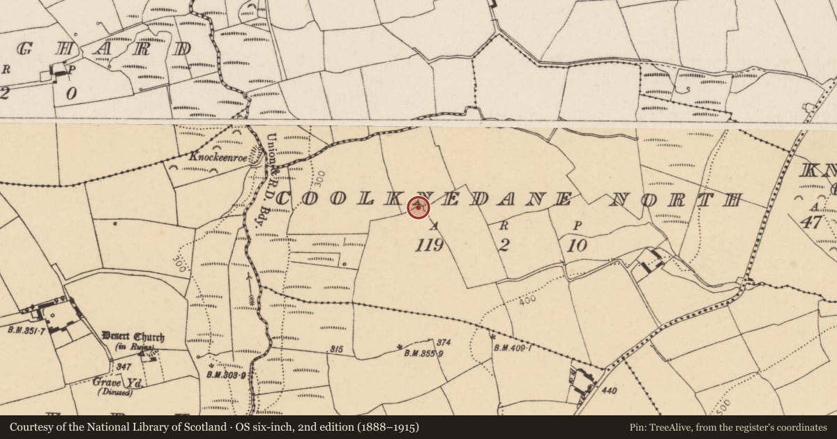 Ordnance Survey six-inch map, 2nd edition (1888–1915) covering the location of Ringfort - rath, Coolknedane North, County Cork, with a pin at the register's coordinates
