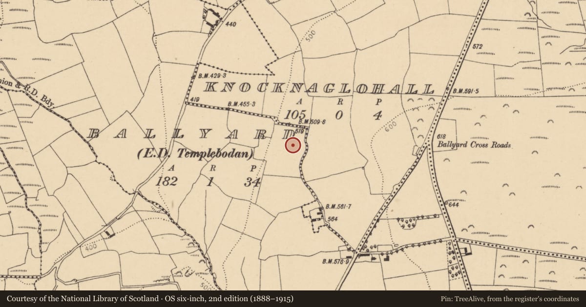 Ordnance Survey six-inch map, 2nd edition (1888–1915) covering the location of Ringfort - rath, Ballyard (Barrymore By., Britway Par.), County Cork, with a pin at the register's coordinates