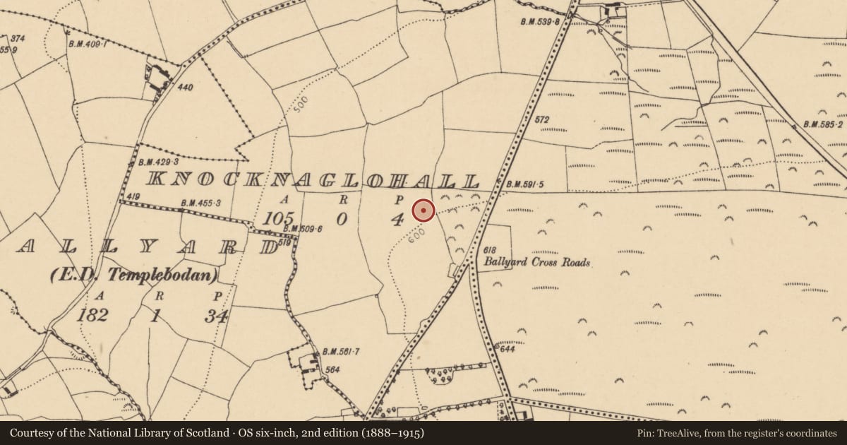 Ordnance Survey six-inch map, 2nd edition (1888–1915) covering the location of Fulacht fia, Knocknaglohall, County Cork, with a pin at the register's coordinates