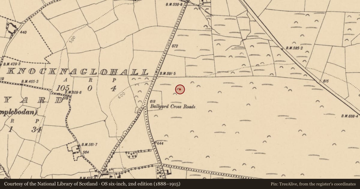 Ordnance Survey six-inch map, 2nd edition (1888–1915) covering the location of Stone row, Curraghdermot, County Cork, with a pin at the register's coordinates