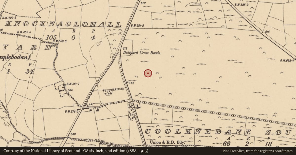 Ordnance Survey six-inch map, 2nd edition (1888–1915) covering the location of Standing stone, Curraghdermot, County Cork, with a pin at the register's coordinates