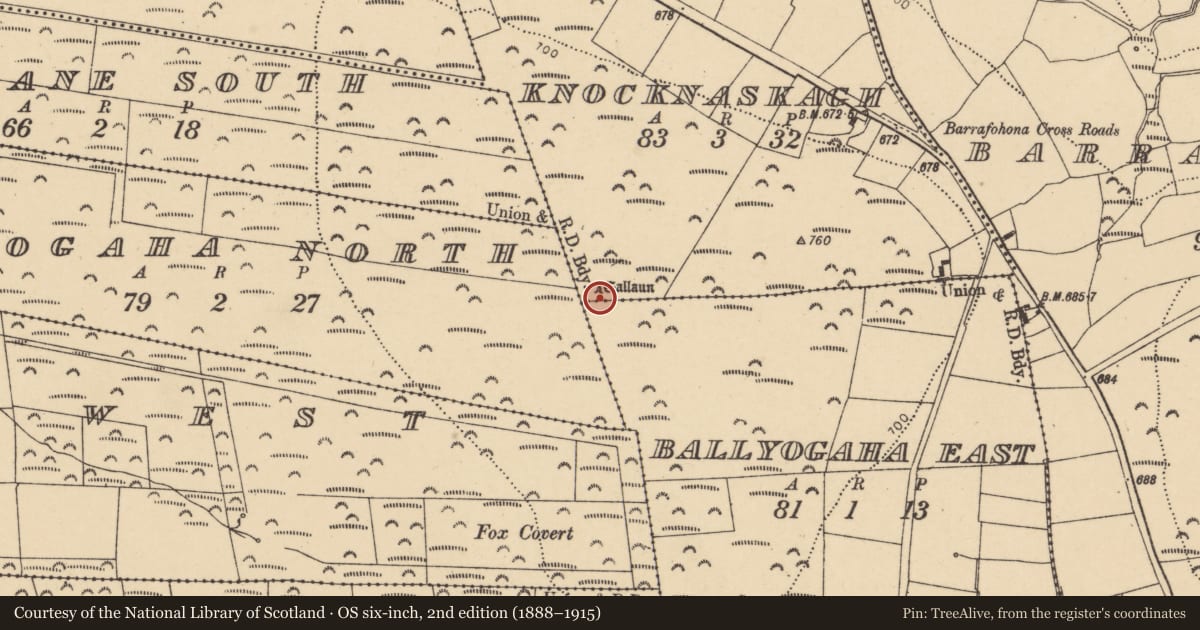 Ordnance Survey six-inch map, 2nd edition (1888–1915) covering the location of Standing stone, Knocknaskagh, County Cork, with a pin at the register's coordinates
