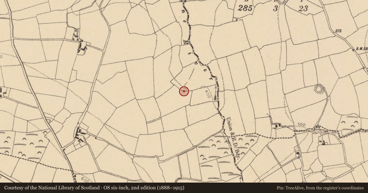 Ordnance Survey six-inch map, 2nd edition (1888–1915) covering the location of Fulacht fia, Barrafohona, County Cork, with a pin at the register's coordinates