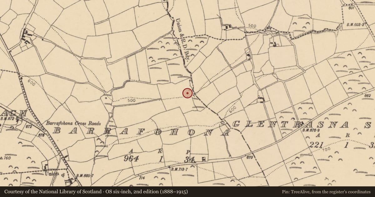 Ordnance Survey six-inch map, 2nd edition (1888–1915) covering the location of Enclosure, Barrafohona, County Cork, with a pin at the register's coordinates