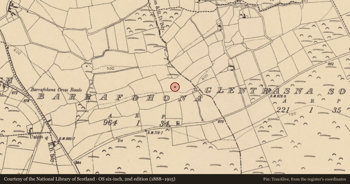 Ordnance Survey six-inch map, 2nd edition (1888–1915) covering the location of Ringfort - rath, Barrafohona, County Cork, with a pin at the register's coordinates