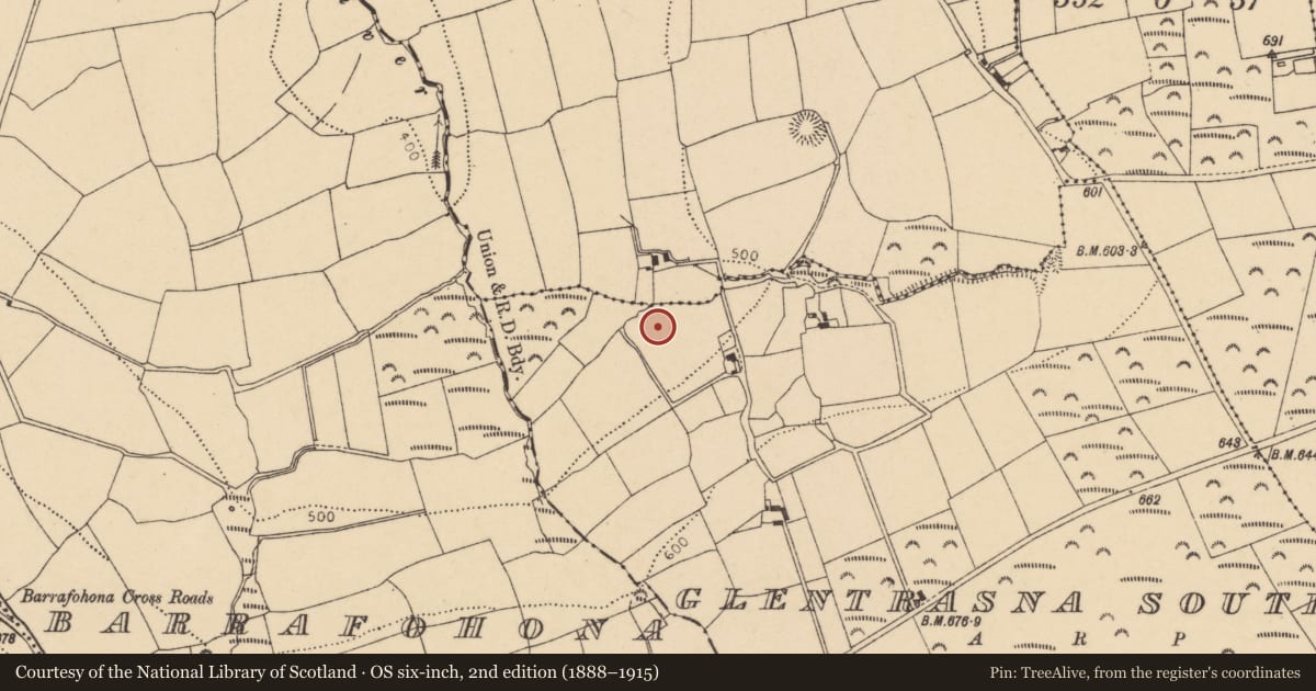 Ordnance Survey six-inch map, 2nd edition (1888–1915) covering the location of Ringfort - rath, Glentrasna South, County Cork, with a pin at the register's coordinates