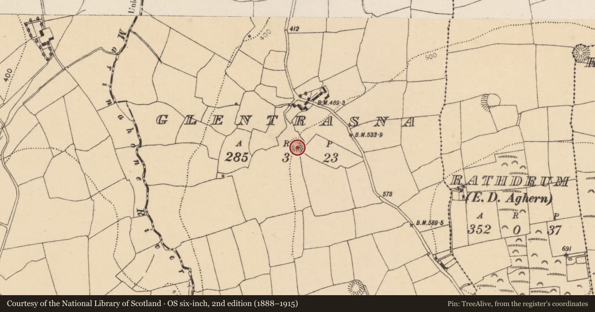 Ordnance Survey six-inch map, 2nd edition (1888–1915) covering the location of Ringfort - rath, Glentrasna, County Cork, with a pin at the register's coordinates