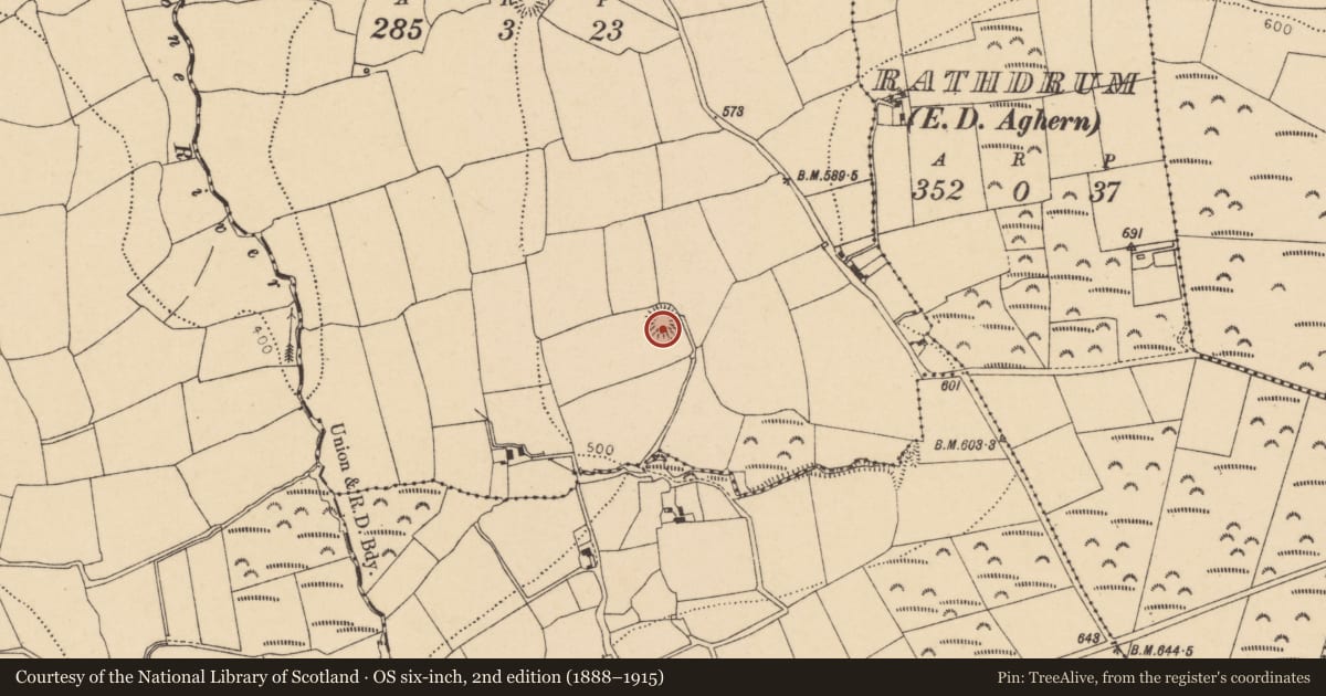 Ordnance Survey six-inch map, 2nd edition (1888–1915) covering the location of Ringfort - rath, Glentrasna, County Cork, with a pin at the register's coordinates
