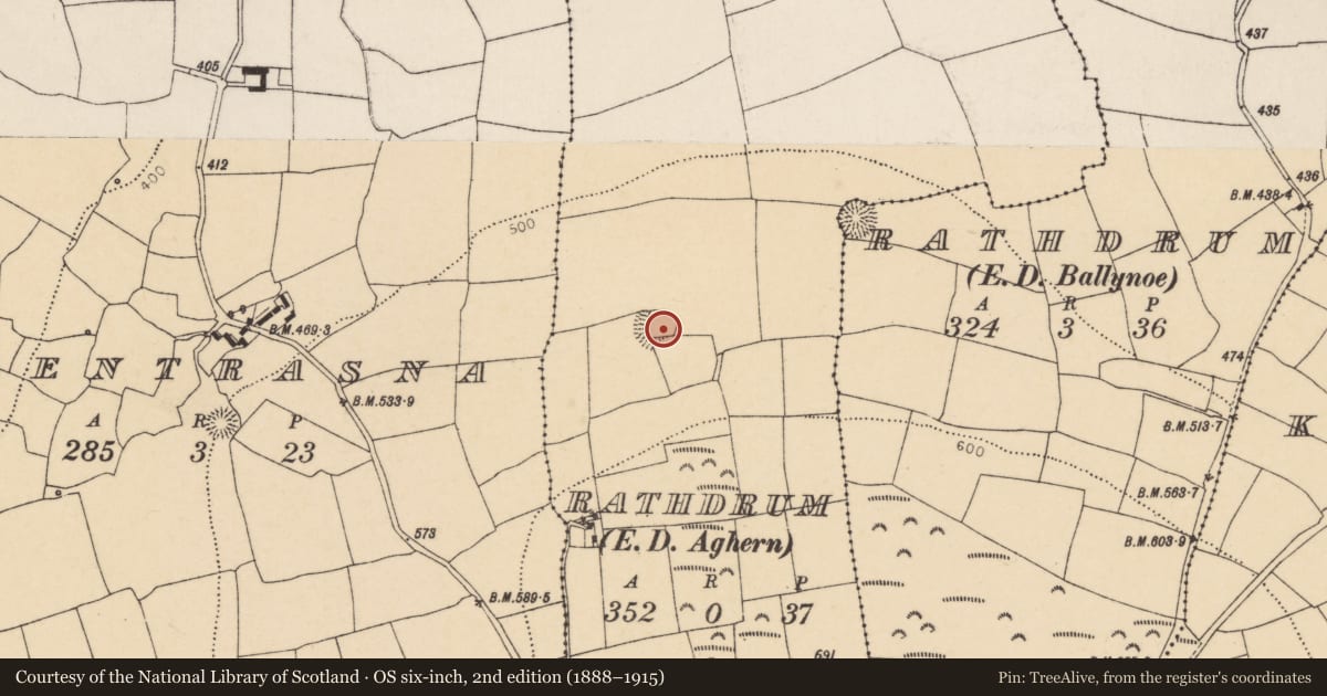 Ordnance Survey six-inch map, 2nd edition (1888–1915) covering the location of Ringfort - rath, Rathdrum, County Cork, with a pin at the register's coordinates