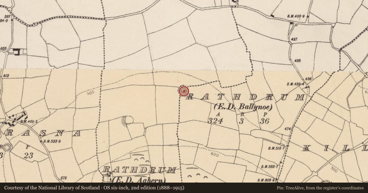 Ordnance Survey six-inch map, 2nd edition (1888–1915) covering the location of Ringfort - rath, Rathdrum, County Cork, with a pin at the register's coordinates