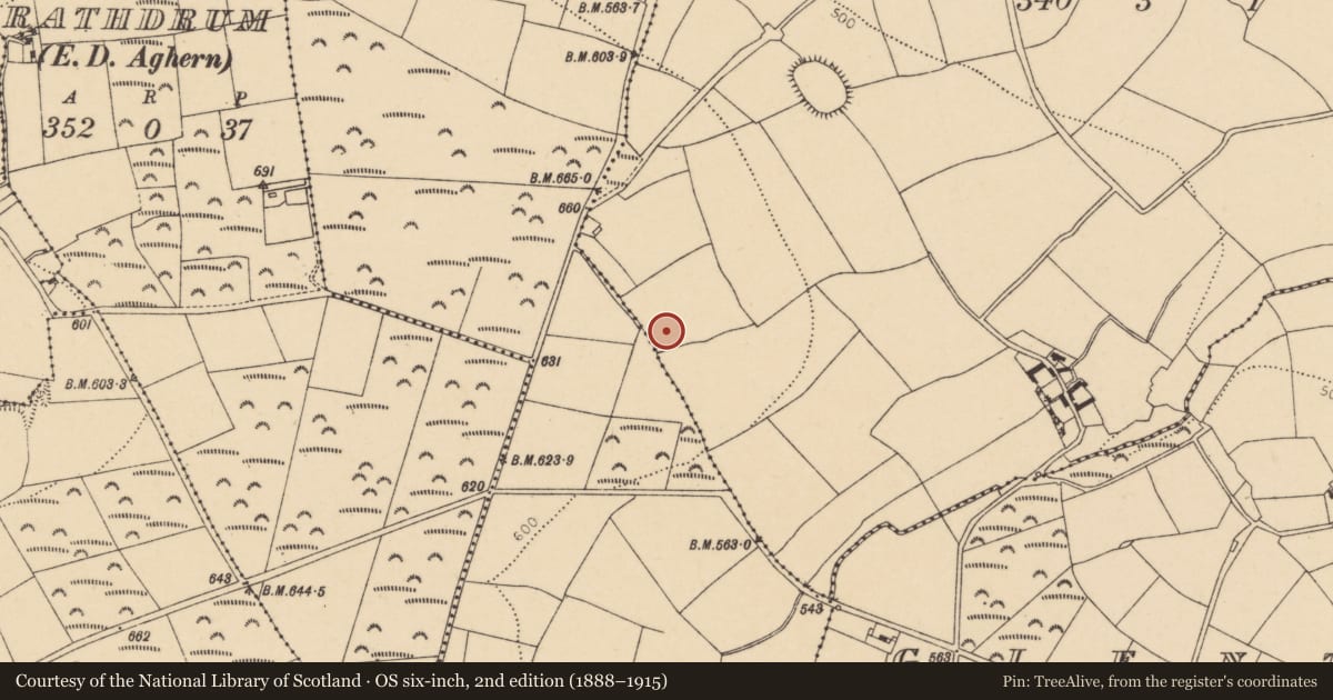 Ordnance Survey six-inch map, 2nd edition (1888–1915) covering the location of Standing stone, Killasseragh, County Cork, with a pin at the register's coordinates
