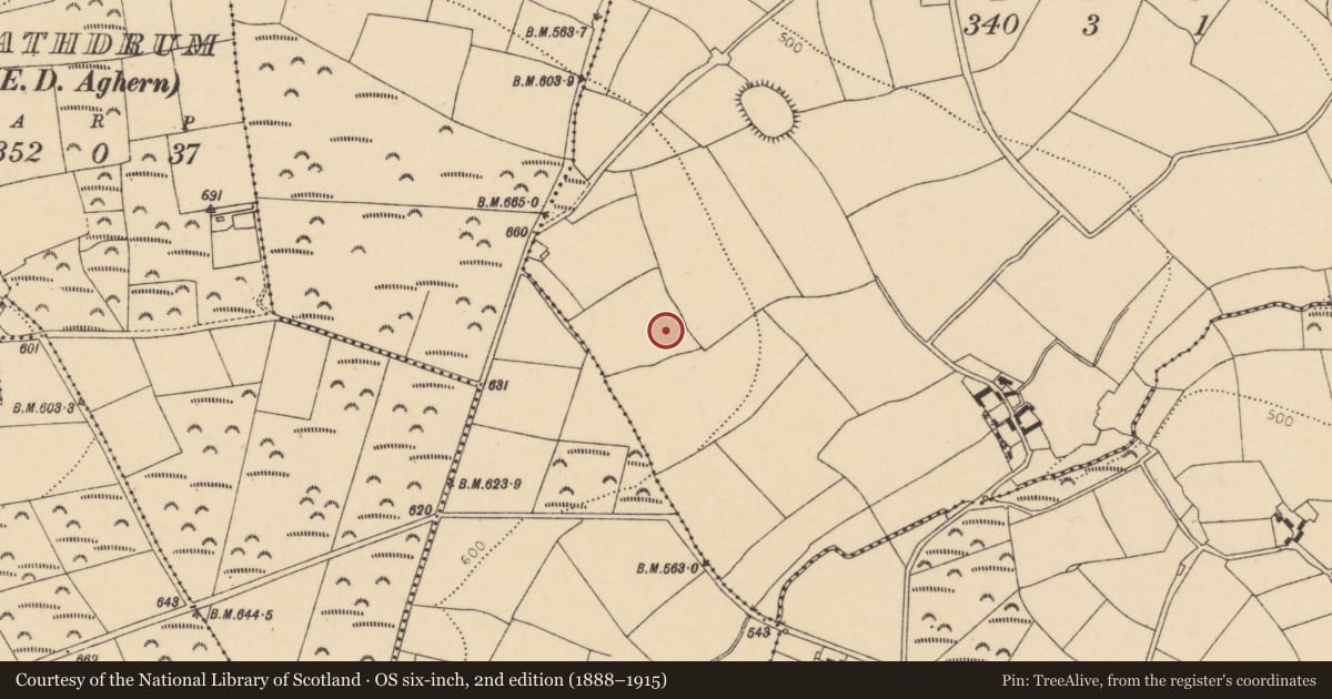 Ordnance Survey six-inch map, 2nd edition (1888–1915) covering the location of Enclosure, Killasseragh, County Cork, with a pin at the register's coordinates
