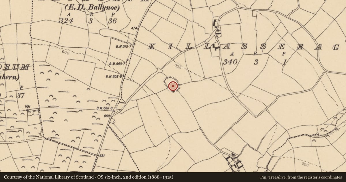 Ordnance Survey six-inch map, 2nd edition (1888–1915) covering the location of Ecclesiastical enclosure, Killasseragh, County Cork, with a pin at the register's coordinates