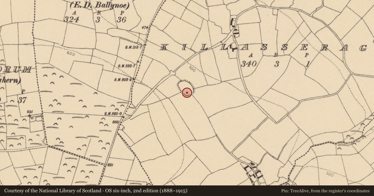 Ordnance Survey six-inch map, 2nd edition (1888–1915) covering the location of Graveyard, Killasseragh, County Cork, with a pin at the register's coordinates
