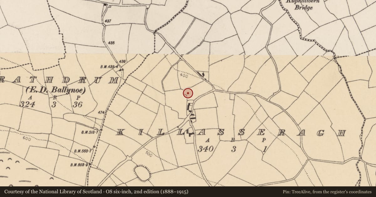 Ordnance Survey six-inch map, 2nd edition (1888–1915) covering the location of Ringfort - rath, Killasseragh, County Cork, with a pin at the register's coordinates