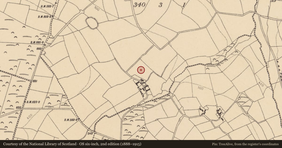 Ordnance Survey six-inch map, 2nd edition (1888–1915) covering the location of Ringfort - rath, Killasseragh, County Cork, with a pin at the register's coordinates