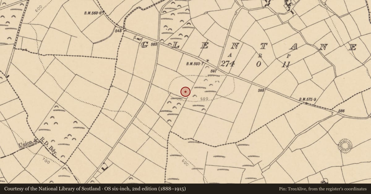 Ordnance Survey six-inch map, 2nd edition (1888–1915) covering the location of Standing stone, Glentane, County Cork, with a pin at the register's coordinates