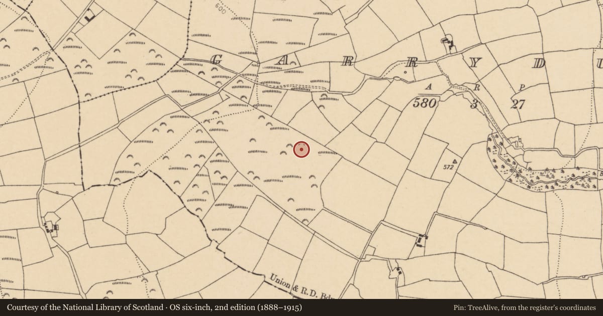 Ordnance Survey six-inch map, 2nd edition (1888–1915) covering the location of Stone row, Garryduff, County Cork, with a pin at the register's coordinates