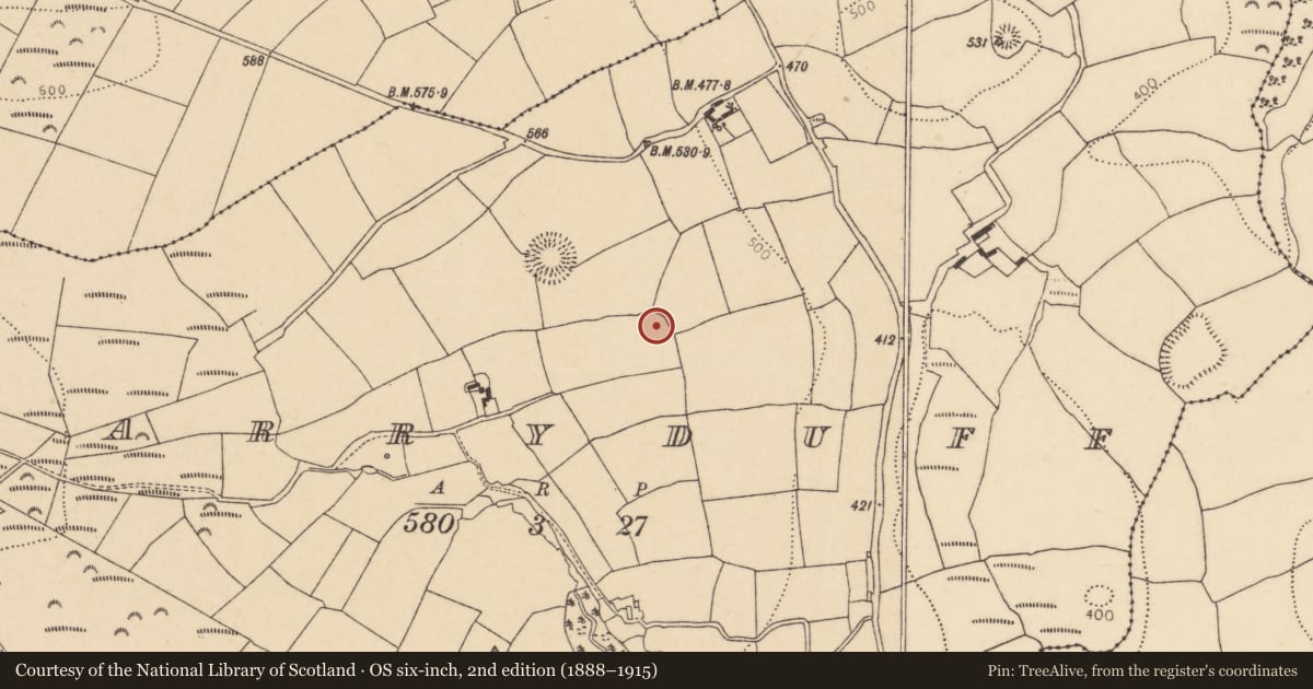Ordnance Survey six-inch map, 2nd edition (1888–1915) covering the location of Ringfort - rath, Garryduff, County Cork, with a pin at the register's coordinates
