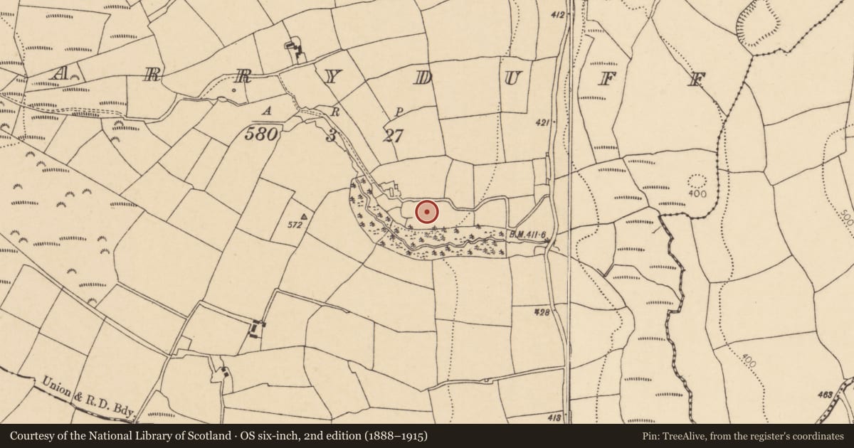 Ordnance Survey six-inch map, 2nd edition (1888–1915) covering the location of Ringfort - rath, Garryduff, County Cork, with a pin at the register's coordinates