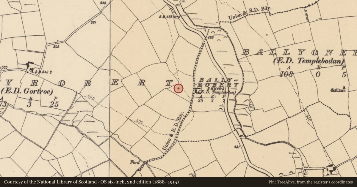 Ordnance Survey six-inch map, 2nd edition (1888–1915) covering the location of Ringfort - rath, Ballyrobert (Barrymore By., Gortroe Par.), County Cork, with a pin at the register's coordinates