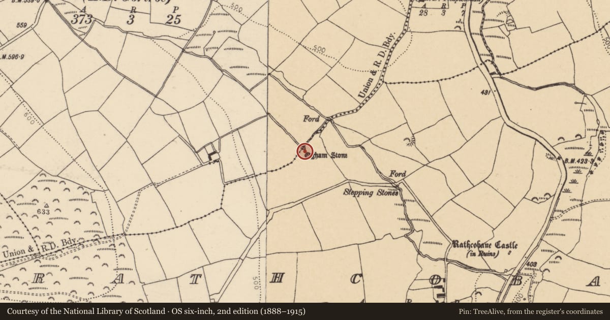 Ordnance Survey six-inch map, 2nd edition (1888–1915) covering the location of Ogham stone, Rathcobane, County Cork, with a pin at the register's coordinates