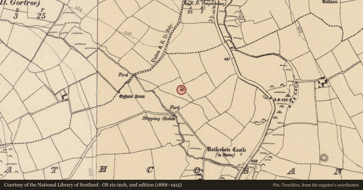 Ordnance Survey six-inch map, 2nd edition (1888–1915) covering the location of Ringfort - rath, Rathcobane, County Cork, with a pin at the register's coordinates