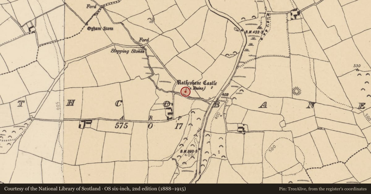 Ordnance Survey six-inch map, 2nd edition (1888–1915) covering the location of Enclosure, Rathcobane, County Cork, with a pin at the register's coordinates