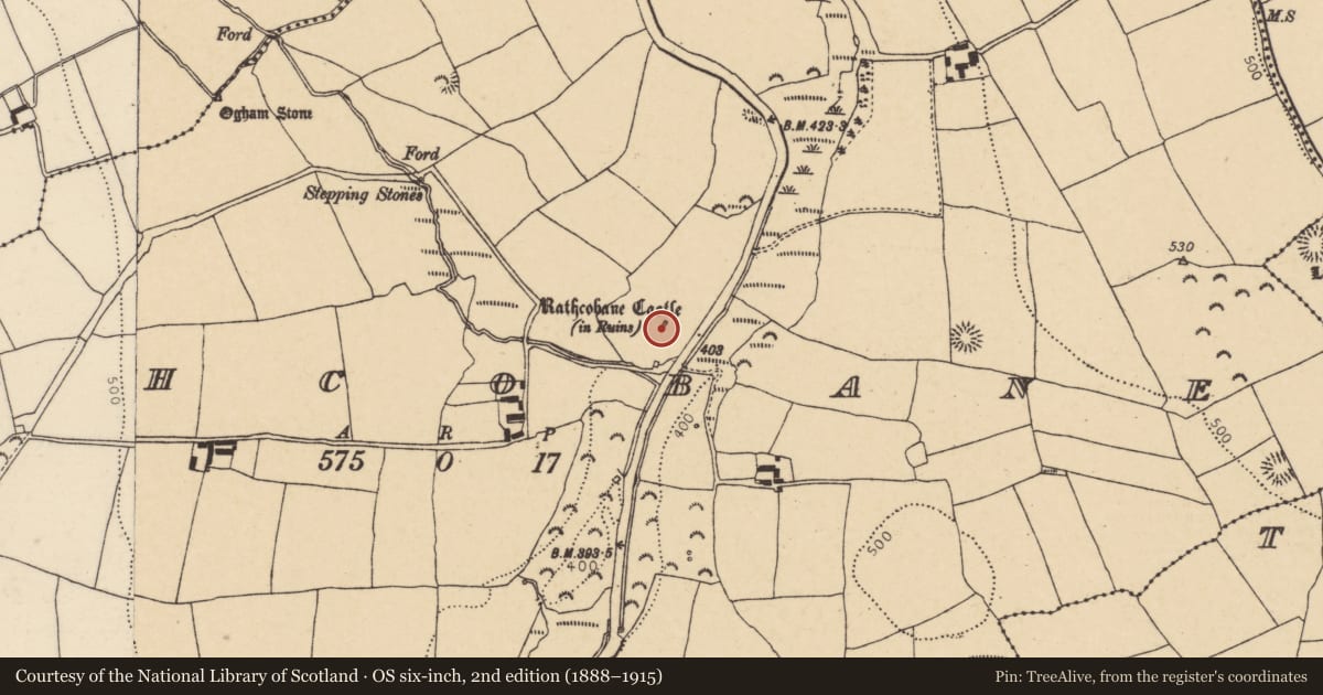 Ordnance Survey six-inch map, 2nd edition (1888–1915) covering the location of Castle - unclassified, Rathcobane, County Cork, with a pin at the register's coordinates