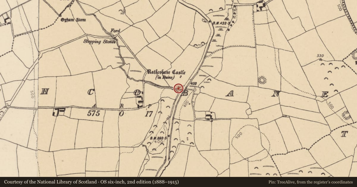 Ordnance Survey six-inch map, 2nd edition (1888–1915) covering the location of Kiln - lime, Rathcobane, County Cork, with a pin at the register's coordinates