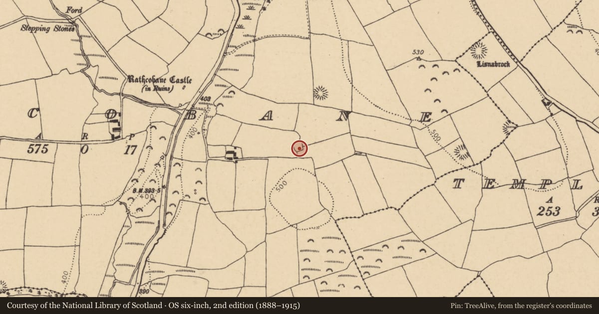 Ordnance Survey six-inch map, 2nd edition (1888–1915) covering the location of Ringfort - rath, Rathcobane, County Cork, with a pin at the register's coordinates