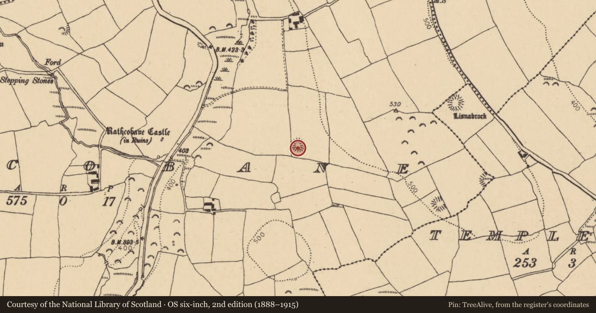 Ordnance Survey six-inch map, 2nd edition (1888–1915) covering the location of Ringfort - rath, Rathcobane, County Cork, with a pin at the register's coordinates