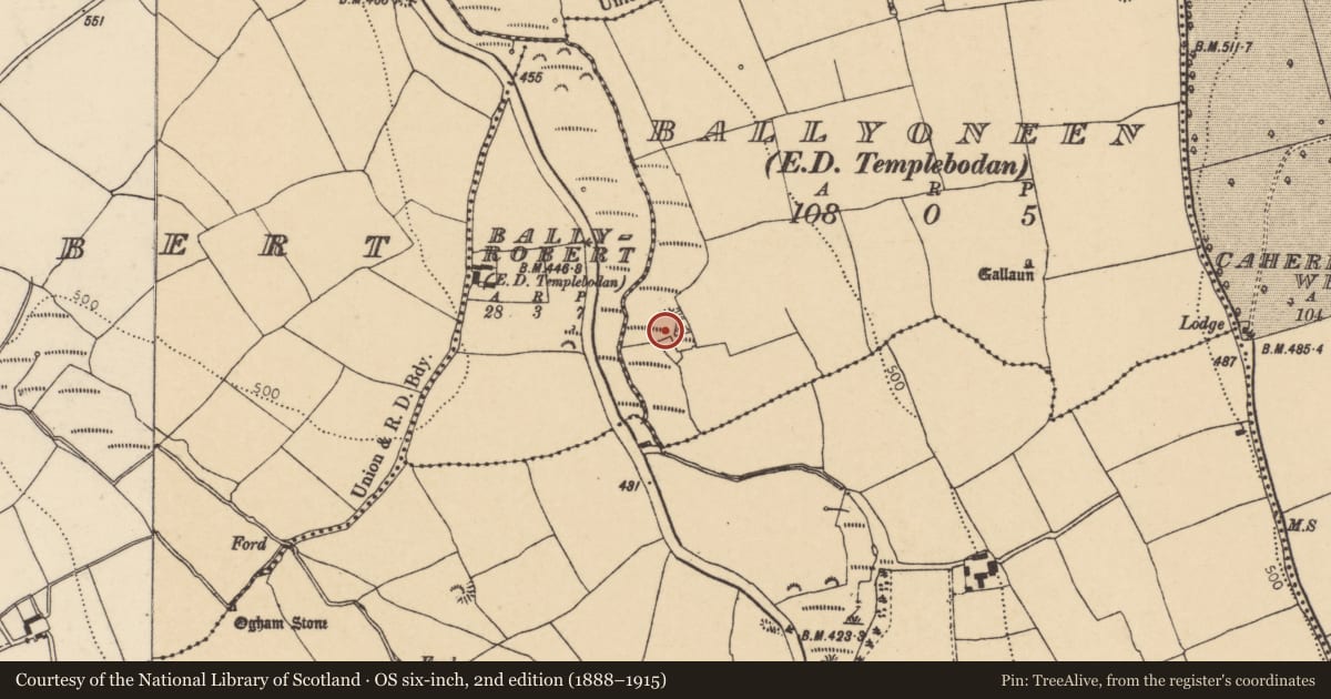 Ordnance Survey six-inch map, 2nd edition (1888–1915) covering the location of Ringfort - rath, Ballyoneen (Barrymore By., Templebodan Par.), County Cork, with a pin at the register's coordinates