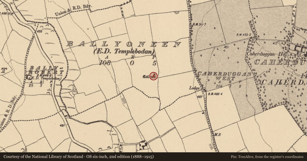 Ordnance Survey six-inch map, 2nd edition (1888–1915) covering the location of Standing stone, Ballyoneen (Barrymore By., Templebodan Par.), County Cork, with a pin at the register's coordinates