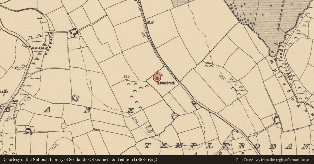 Ordnance Survey six-inch map, 2nd edition (1888–1915) covering the location of Ringfort - rath, Templebodan, County Cork, with a pin at the register's coordinates