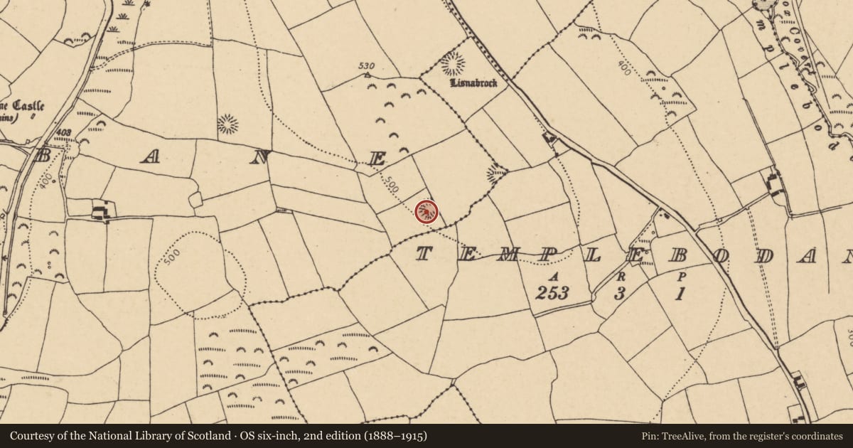 Ordnance Survey six-inch map, 2nd edition (1888–1915) covering the location of Enclosure, Rathcobane, County Cork, with a pin at the register's coordinates